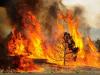 Here's How to Track Active Wildfires in Montana this Summer