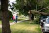 Wild weather uproots trees across city, leaves thousands in province without power