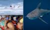 Mystery sharks mauling children just feet from US shores are exposed by disturbing new evidence