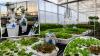 NDSU to host 3rd annual North Dakota Controlled Environment Agriculture Conference