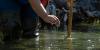 Iowa candidates face questions over nitrate pollution and who should fix it