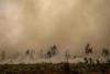 Analysis: Climate change fuelled wildfires in France and Spain