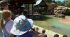 Extreme heat is altering life -- and species -- at the Denver Zoo