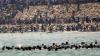 Spain 'mobilise army' to take control after thousands of migrants cross border
