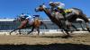 Maryland fully acquires rights to Preakness Stakes' intellectual property in $85M deal Maryland officials have closed a deal to buy the rights of the Preakness Stakes