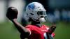 Tennessee Titans best practice photos from Day 2