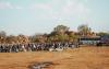 Anti-migrant violence triggers emergency at the South Africa-Zimbabwe border
