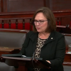 Fischer chairs senate hearing on AI
