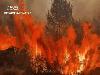 Australia sends firefighters to France as Europe enters new era of megafires