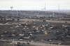 Lockout at Colorado beef plant may end soon