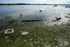 Danube Hits Record Low in Budapest