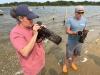 The oysters demand Aerosmith! Research investigates if local sounds can help restore Mass. oyster reefs