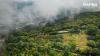 Hong Kong’s 800-year-old tea heritage is being rediscovered and rehabilitated