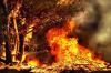 Around 0.5 million hectares of land have burned in the European Union