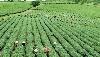 Over 100,000 Nigerians Benefit From £53.9m Euros GIZ Agric Finance Projects