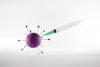 Montana Measles Cases Non-Existent This Summer