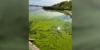 Seven North Dakota waterbodies under harmful algal bloom advisories or warnings, including Devils Lake