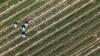 One in Four Farmland Plots Flagged as Suspected Violations; 780,000 Hectares Face Field Checks