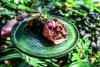 Roma Norte’s Hidden Gem: Mux and the Revival of Authentic Mexican Cuisine