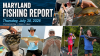 Maryland Fishing Report for Thursday, July 30, 2026