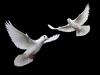 Obituaries July 30, 2026