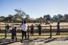 World AFP The last trio: S.Africa's zoo elephants await their fate