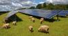 Five climate myths debunked from 'it's all China's fault' to 'renewables costly'
