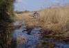 Lincolnshire wildlife projects receive £168,000 from environmental offenders Three companies linked to a major illegal waste site have contributed £98,000 towards nature recovery projects across Lincolnshire.
