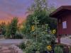 UC Master Gardeners to host free evening event at demonstration garden