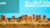 Saudi Arabia and 13 other countries establish Middle East maritime defense coalition