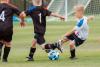 Driven by the 2026 World Cup and four MLS teams, California takes the top spot as America’s most soccer-obsessed state in a new 50-state study