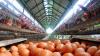 Egg farmers brace for impact as latest bird flu strain is detected in Victoria