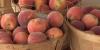 Mother and son donate peaches to Denver Children’s Hospital for fourth straight year
