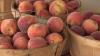 Mother and son donate peaches to Denver Children's Hospital for fourth straight year