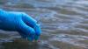 In Texas' first statewide survey, microplastics showed up in 76 of 77 waterways