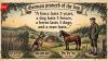 German proverb of the day: "A fence lasts 3 years, a dog lasts 3 fences, a horse lasts 3 dogs, and a man lasts…"
