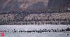 Spain deploys army as thousands of migrants swim from Morocco into Ceuta