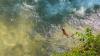 Illinois riders spot a fox in Six Flags rapids, and workers rush to pull it from the water