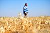 South Africa is better placed for looming El Niño, experts say