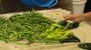 Jasper County gardeners give back thousands in local produce