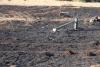 Veld fire season threatens farmers, soil, and livestock