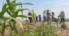 'Conditions where farmworkers can die': Outdoor workers impacted by heat and poor air quality