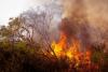 UK Wildfires Map 2026: Areas Affected by Drought, Hosepipe Bans, and Forest Fire Warnings