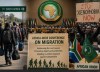South Africa calls for Africa-wide migration conference amid xenophobic violence