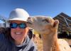 A CT sheep farmer’s view from the solar field