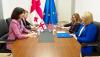 Georgian foreign minister meets acting US ambassador to discuss bilateral ties