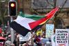 Activist Fighting Terror Symbol Charge Watches CCTV of Herself Draped in Flag