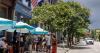 Charleston tourism bucks national slowdown as hotel revenue tops rival destinations