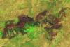 Destructive Fires Char Western Europe