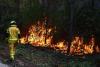 France, Spain win some respite, as wildfire battles rage across Europe